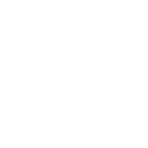 BWD Logo
